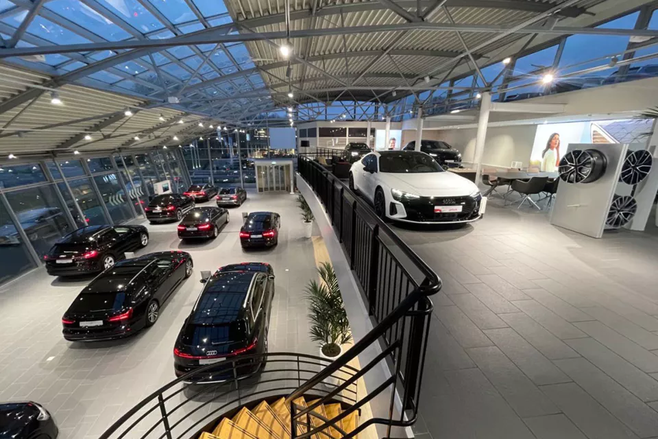 AUDI & Volkswagen Avenu