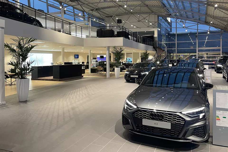 AUDI & Volkswagen Avenu