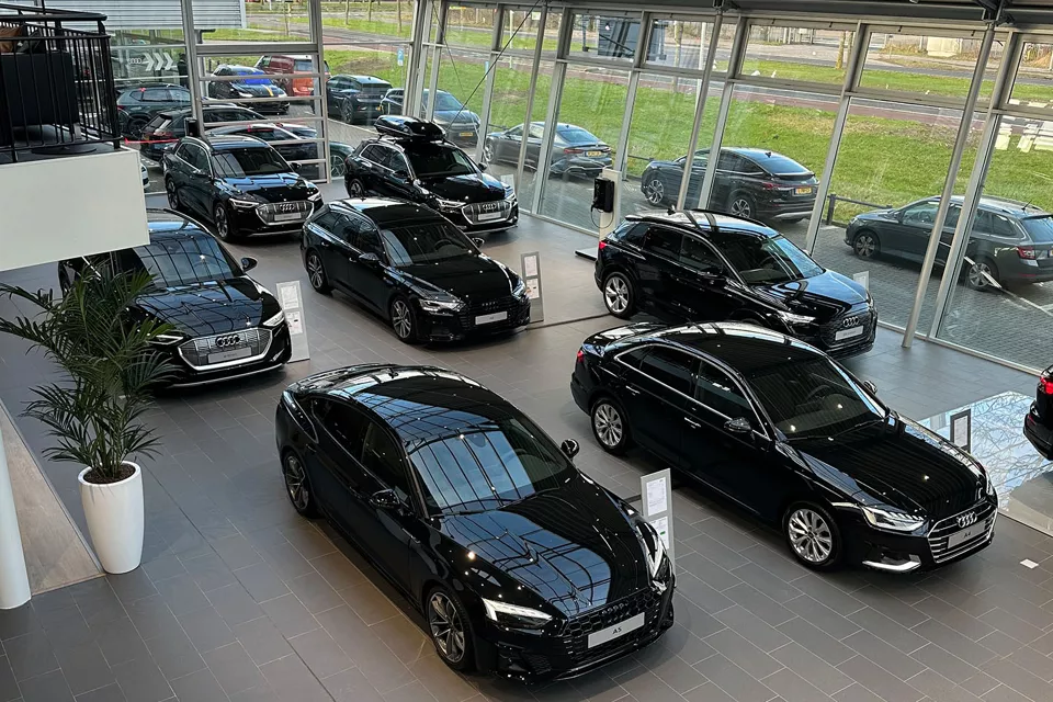 AUDI & Volkswagen Avenu